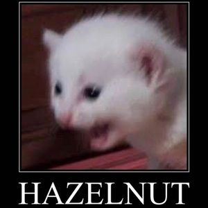 Meet your Posher, Johana